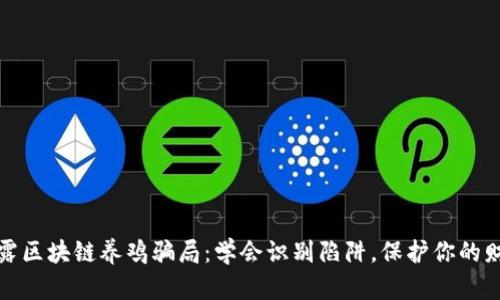 揭露区块链养鸡骗局：学会识别陷阱，保护你的财富