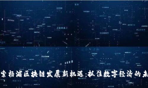探索杨浦区块链发展新机遇：抓住数字经济的未来