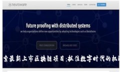 探索最新上市区块链项目