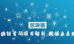 2021年区块链首码项目解析
