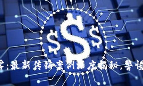 揭开区块链迷雾：最新传销案例深度揭秘，警惕你的投资选择！