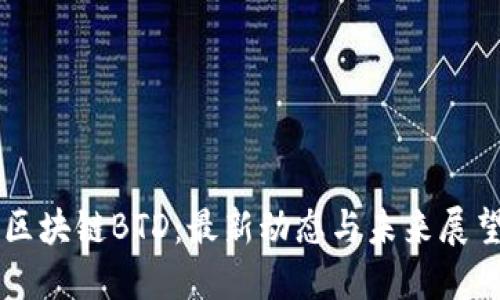 区块链BTD：最新动态与未来展望