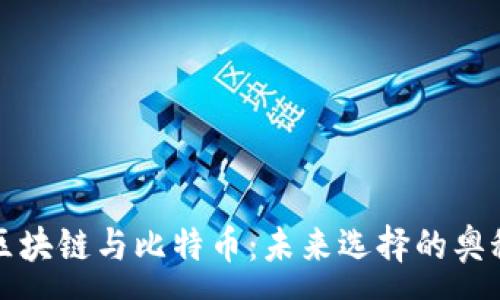 :
区块链与比特币：未来选择的奥秘