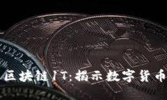 比特币区块链1T：揭示数字