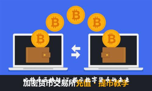 比特币区块链1T：揭示数字货币的未来