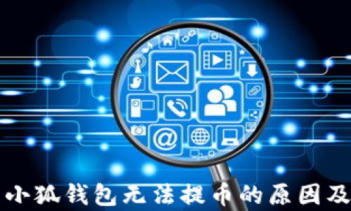 
详细解析小狐钱包无法提币的原因及解决方案