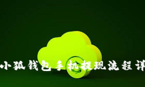 : 小狐钱包手机提现流程详解