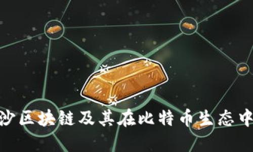 探索金沙区块链及其在比特币生态中的影响