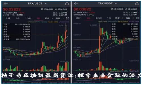 柚子币区块链最新资讯：探索未来金融的潜力