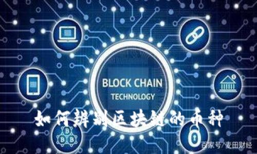 如何辨别区块链的币种