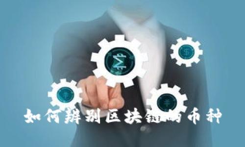 如何辨别区块链的币种