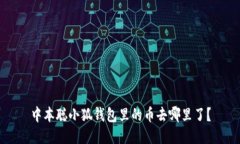 中本聪小狐钱包里的币去