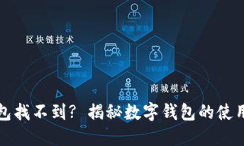 小狐钱包找不到? 揭秘数字钱包的使用与维护