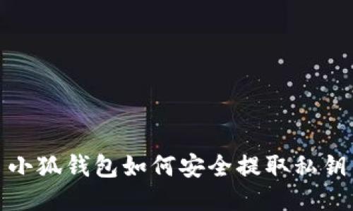 小狐钱包如何安全提取私钥