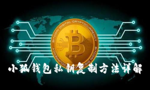 小狐钱包私钥复制方法详解