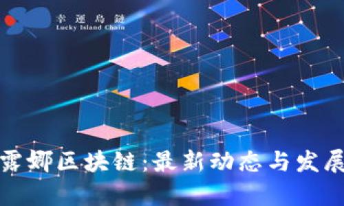 探索露娜区块链：最新动态与发展前景