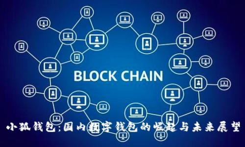 小狐钱包：国内数字钱包的崛起与未来展望