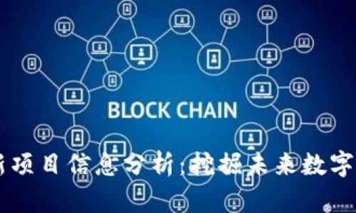 区块链最新项目信息分析：挖掘未来数字经济的潜力