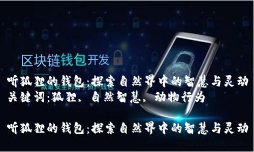 听狐狸的钱包：探索自然界中的智慧与灵动
关键词：狐狸, 自然智慧, 动物行为

听狐狸的钱包：探索自然界中的智慧与灵动