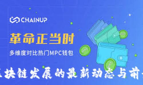   
贵州区块链发展的最新动态与前景分析