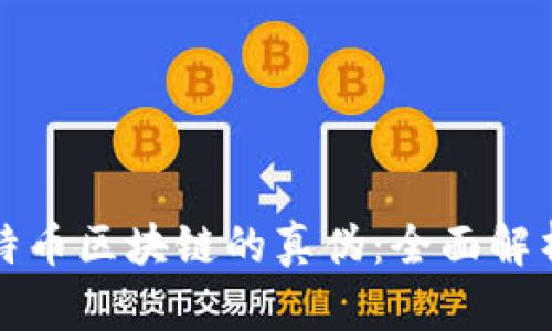 如何分辨比特币区块链的真伪：全面解析与实用指南