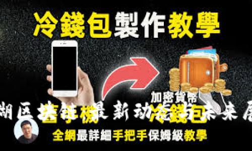 金湖区块链：最新动态与未来展望