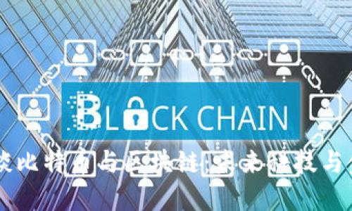 李永乐老师谈比特币与区块链：未来科技与金融的交汇点