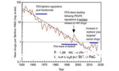 区块链未来：探索最具前