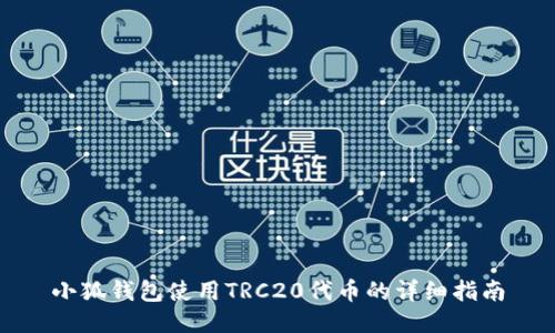 小狐钱包使用TRC20代币的详细指南