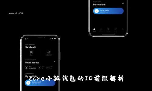 core小狐钱包的ID前缀解析