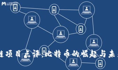 区块链项目点评：比特币的崛起与未来展望