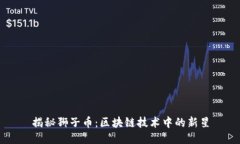 揭秘狮子币：区块链技术中的新星